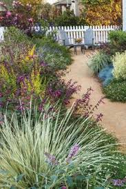 Check spelling or type a new query. 36 Plant Spotlight Ideas Plants Garden Shade Garden