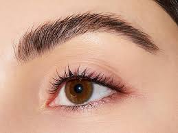 .how to use soap brows beginners makeup tutorial: How To Fake Bushy Brows With Soap Makeup Com