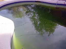 Rattrapage Eau Verte Piscine