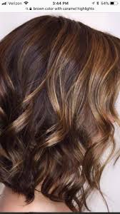 pin by petra schultz on hair hopes light brown hair brown ombre hair dark brown hair color