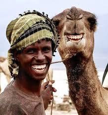 Loving animals brings a sense of purpose and fulfillment that's hard to  find elsewhere. It's as if a part of our soul is awakened when we  experience the unconditional love and companionship