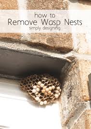 How do hornets make their nests? How To Get Rid Of A Wasps Nest Simply Designing With Ashley