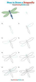 Make the loop a little bit smaller than the head. Draw A Dragonfly Easy Novocom Top