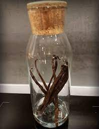 How To Store Your Vanilla Beans? Tips From David Vanille