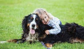 Aaha accredited veterinary hospital nashua, nh trust our family with your family#allpetsvetnh @allpetsvetnh www.allpetsvetnh.com. Aaha Accredited Animal Hospital In Greenland Nh Greenland Veterinary Hospital