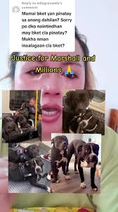 Marshall and Millions Open Letter Poem