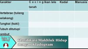 Maybe you would like to learn more about one of these? Kelas 10 Biologi Klasifikasi Makhluk Hidup Dengan Kladogram Video Pendidikan Indonesia Youtube