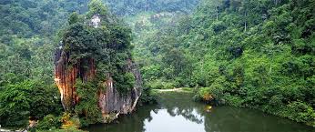 Maybe you would like to learn more about one of these? Wildlife At The Haven Resort Hotel Ipoh All Suites Inaturalist