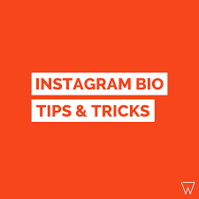 Not sure what i'm doing but i'm making the best of it. Creating A Killer Fitness Bio For Instagram 7 Simple Tips Tricks