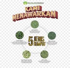 Dengan motif unik, menjadikan kemeja batik hijau sebagai indonesia traditional clothing pilihan terbaik. Cesped Marca Superalimento Imagen Png Imagen Transparente Descarga Gratuita