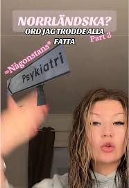 Svarar @JosefinE Watafak varför sprängdes min hjärna där ett tag?? Ska fara  på Ica nu, vi höres🫡 #vabra #foryou #norrland #dialekter