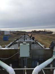 Featured Vendor: Homestead Springs Farm