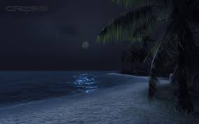 Night Island Wallpapers Top Free Night Island Backgrounds Wallpaperaccess Echa un vistazo a los 8.223 vídeos y fotos de alihi lani poipu beach oceanfront condominiums que han tomado los miembros de tripadvisor. night island wallpapers top free
