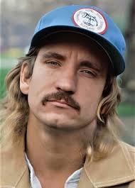 Joe Walsh** is an American rock musician, singer, and songwriter best known  for his work as a guitarist in the band **Eagles** and for his successful  solo career. Born