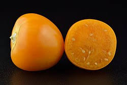 Image result for Physalis peruviana
