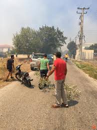 Maybe you would like to learn more about one of these? Megalh Fwtia Plaka Kerateas Photos Mesogeia