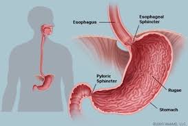 Somehow you knew where the end of your finger was and you also knew the position of your left elbow. What Is The Best Way To Have A Clean Stomach In The Morning Quora