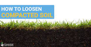 A few of the dirt disposal similarly, some construction sites might also be willing to accept dirt for free. How To Loosen Compacted Soil And Improve Your Lawn