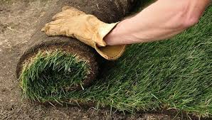 Add 2 to 3 inches of sand to claylike soil to improve drainage. How To Lay Sod Lowe S