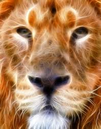 Fractal Lion Face Big Cats Art Fire Art Fractal Art
