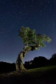 (there are 502 photos in this photo gallery.) Spanish Natural Parks And Activities In Nature Spain Info In English