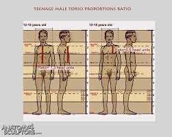 Anatomy For Sculptors Proportions Anatomy Reference Anatomy Anatomy For Artists