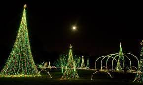 Dancing Light Show Under The Moon At Dominion Garden Of Lights At Norfolk Botanical Garden Garden Of Lights Public Garden Famous Gardens