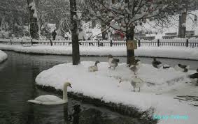 kugulu park 29 02 2012 park ankara outdoor