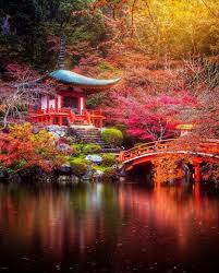 Travel Insurance Options For Traveling Abroad En 2020 Japon Paysage Photo Paysage Magnifique Paysage Zen