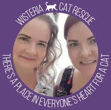 Hi looking for advice for a partially deaf child