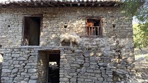 107 yıllık taş evi nasıl restore etmeye karar verdik. Eski Tas Evin Tadilati Derz Yapilmasi Dogal Tas Evler