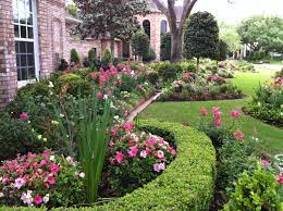 Home Shade Of Texas Azaleas Landscaping Landscaping Shrubs Boxwood Landscaping