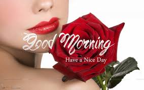 Good morning wallpaper available in hd, 4k resolutions for desktop and smart devices. Good Morning Images With Red Rose Good Morning Romantic Good Morning Flowers Pictures Morning Images