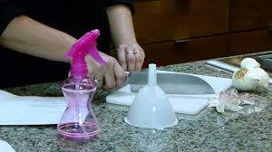 To make the garlic spray, just dilute your concentrate with 2 ½ cups of water, pour into a spray bottle or pressure sprayer and you are ready to do some damage. Garlic Juice Pesticide Recipe Youtube