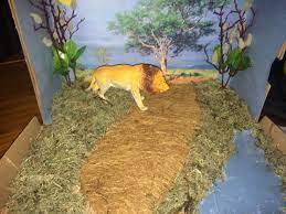 Lion Diorama Habitats Projects Animal Habitats Biomes Project