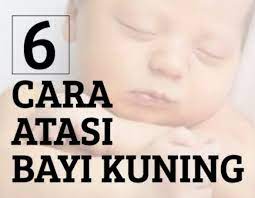 Susu kambing ini diambil dari jenis kambing etawa yang merupakan. Susu Kambing Lazz 6 Cara Atasi Bayi Kuning
