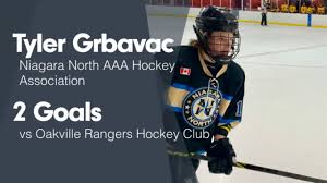 Elite Aaa Hockey And Getting To Next Level Public Group | Facebook