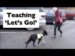train your dog quickly easily reactive dog dog training aggressive dog