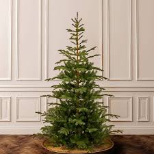 We did not find results for: Amazon Com National Tree Company Feel Real Artificial Christmas Norwegian Spruce Tree 7 5 Ft Home Kitchen