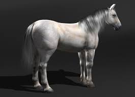 3d Horse Horses Free Horses 3d Model