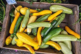 We did not find results for: Growing Summer Squash Including Zucchini In The California Home Garden