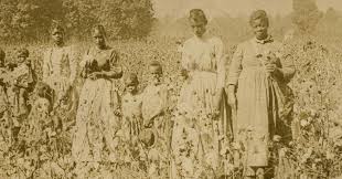 Financial capitalism is thus a form of capitalism where the intermediation of saving to investment becomes a dominant function in the economy. American Capitalism Is Brutal You Can Trace That To The Plantation The New York Times