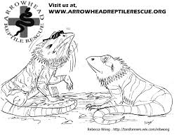 Bearded dragon coloring page 4. Coloring Pages Of Bearded Dragons Novocom Top