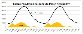 Understanding Colony Buildup And Decline Part 7b