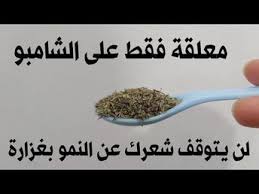 ضعيها في الشامبو لن يتوقف شعرك عن النمو بغزارة ولن يتساقط بعد اليوم ينبت الفراغات و يحارب الصلع youtu in 2021 hair care oils hair care recipes beauty recipes hair