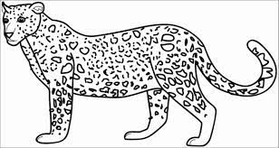We did not find results for: Cartoon Cheetah Coloring Page Coloringbay