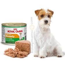 Royal Canin Adult Beauty Tuy Sagligi Kopek Konservesi 195 Gr Kopek Yas Mamalari Royal Canin