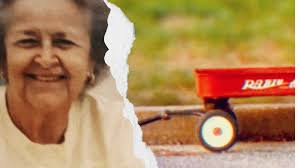 Grandma killed pulling grandson