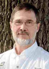 The Arborist: History of the Christmas tree