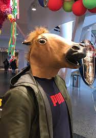 Hamid on Twitter: "Glad helg helsar en snel hest.… "